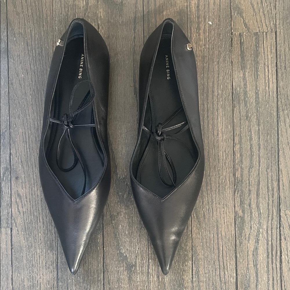 Anine Bing Nikki Flats - Black leather pointed - Picture 11 of 13